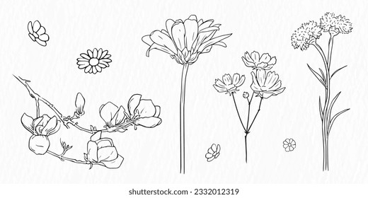 Set of deferent kind of Flowers line drawing Clipart