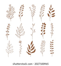Set of delicate branch, leaves and flowers in trendy linear style. Minimal botanical illustration for logo and wedding invitation. Vector design elements for branding.
