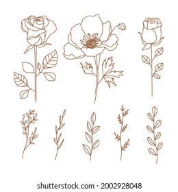 Set of delicate flowers and branch in trendy linear style. Minimal botanical illustration for logo and wedding invitation. Vector design elements for branding.