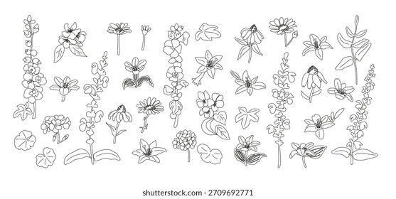 A set of delicate line art flowers and leaves. Minimalist botanical vector illustrations in continuous line style. Perfect for logos, packaging and wall art.