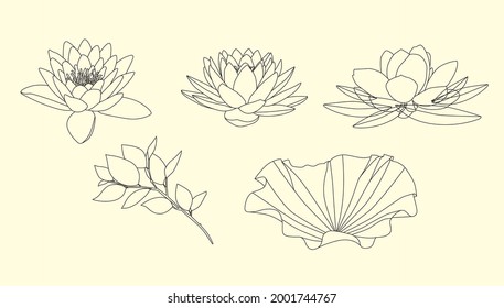 Set of delicate outlined hand drawn lotus flowers and leaves. Vector illustration. Designer set