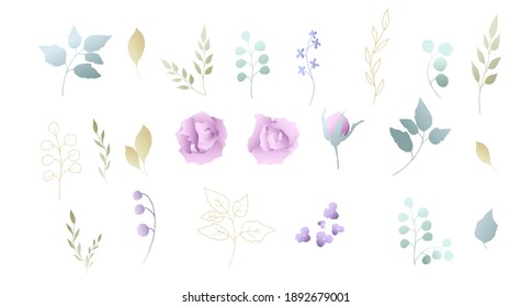 Set of delicate pink rose with dollar tree leaves. Vector illustration.