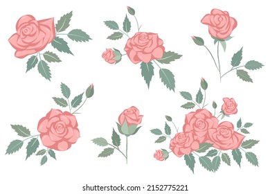 A set of delicate pink roses for design. vector illustration