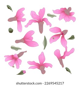 Set of delicate pink watercolor, vector summer, spring seasonal flowers and green leaves