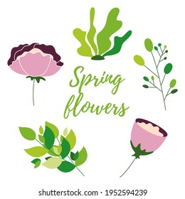 A set of delicate spring flowers in a modern style. Quote Spring flowers. Template for postcard, poster, invitation, banner. Vector illustration.