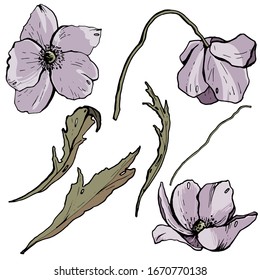 Set of delicate spring flowers. Plant details isolated on white background. Vector graphics.