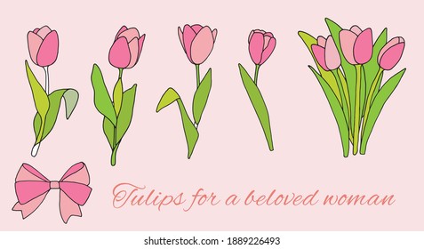 Set feine Tulpen im farbigen Doodle-Stil für Karten, Poster, Geschenke für geliebte Frauen