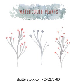 Set of delicate vector watercolor flowers 
