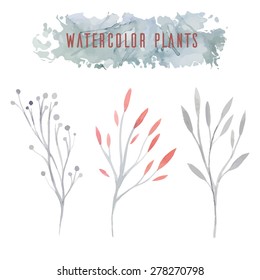Set of delicate vector watercolor flowers 