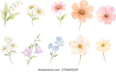 Set of delicate watercolor spring flowers isolated on light background. Perfect for Easter designs, Mother’s Day cards, invitations, stickers and floral compositions