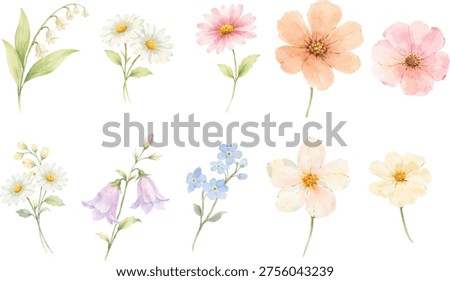 Set of delicate watercolor spring flowers isolated on light background. Perfect for Easter designs, Mother’s Day cards, invitations, stickers and floral compositions