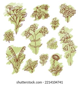 Set of delicate wildflowers in vintage style. Vector hand drawn illustration with brown outline and texture background for textiles, stickers, fabrics, paper, label or packaging, etc.