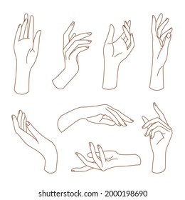 Set of delicate women's hand in trendy linear style. Female hands in various gestures. Vector linear boho icon illustrations. Branding.