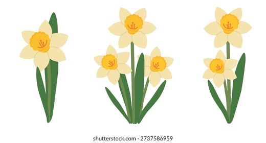Set Of Delicate Yellow Daffodil Flowers, Vector Illustration. Vector illustration set of delicate yellow daffodil flowers. Fresh spring floral elements perfect for banners, greeting cards, invitations and seasonal promotional designs