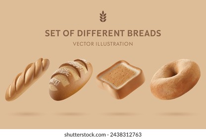 A Set of Delicious Baking 3D Vector Bread: baguette, Pain de campagne, Toast, Bagel