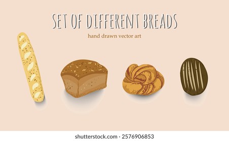 A Set of Delicious Baking bread hand drawn style, Cinnamon Roll, black, rye bread, French baguette, grain, yeast baked bread Vector illustration.