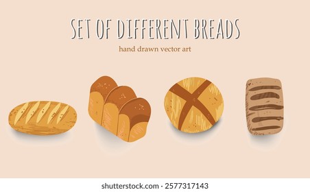 A Set of Delicious Baking bread hand drawn style, Loaf of wheat,  rye toast bread, circle, round Grain bread roll bun. Baked food. ciabatta, Vector illustration in hand drawn style. 