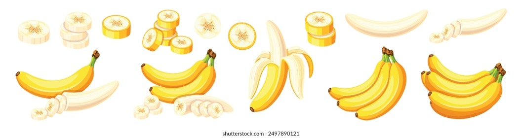 Set köstlicher Bananen im Cartoon-Stil. Vektorgrafik von gelben und frischen verschiedenen Bananen: ganz,Scheiben, in der Schale einzeln auf weißem Hintergrund.Geschälte und ungeschälte Bananen.Ein gesunder Snack.