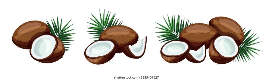 Conjunto de deliciosos cocos con hojas verdes aisladas en fondo blanco. Ilustración vectorial de piezas enteras frescas, medias, de cocos con hojas verdes al estilo de dibujos animados.
