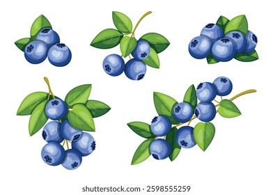 Set of delicious, fresh blueberries in cartoon style. Vector illustration of a bunch of blueberries, a branch with berries, green leaves isolated on a white background. Healthy snacks.Vitamin berries.