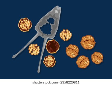 Set with delicious fresh walnuts and crackers. organic food healthy food isolated on dark background top view concept Vector illustration. Easy fix.