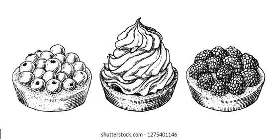 Set of delicious hand drawn creamy biscuit and tarts with berries. Engraving style pen pencil painting retro vintage vector lineart illustration on white background. Collection of sweet desserts.