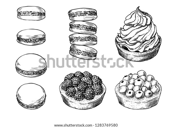 手描きのおいしいクリーム色のビスケット フレンチマカロン ベリー入りタートのセット 白い背景にペンシルのビンテージベクター線画イラストを彫る 甘いデザートのコレクション のベクター画像素材 ロイヤリティフリー