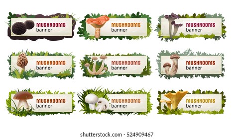 Set of delicious mushroom vector banners, headers