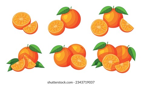 Set of delicious oranges in cartoon style. Vector illustration of fresh and juicy whole and half oranges with green leaves isolated on white background. Organic fruit.