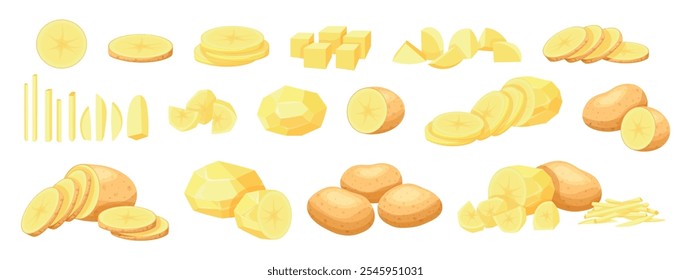 Set of delicious potatoes in cartoon style. Vector illustration of fresh potatoes: circle, halves, whole, pieces, straws, cubes isolated on a white background. Peeled and unpeeled potatoes.Root crops.