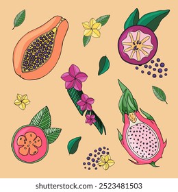 A set of delicious tropical fruits on an orange background. Vector freehand drawing, papaya, papaya, kaimito, guava