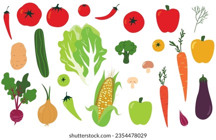 A set of delicious vegetables. Hand drawn vegetables collection, isolated elements, vector design.