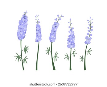 Set of delphinium flower branches and leaves. Vector flat botanical illustration