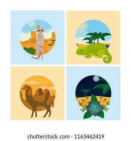Set of desert animals