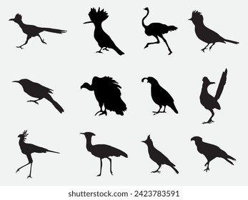 set of desert bird silhouette from around the planet.wild desert bird illustration