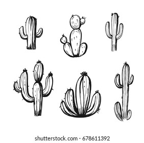 Set of desert cacti. Hand drawn vector illustration