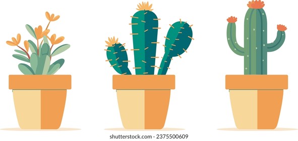 conjunto de ilustraciones vectoriales de macetas de plantas desérticas