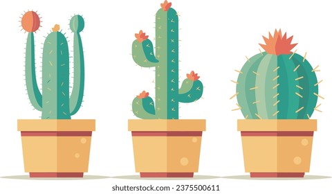 set of desert plant pots vector illustration