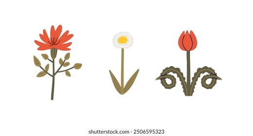 Set of desert plants in flat style. Summer, desert, plants. Hand drawn vector illustration.