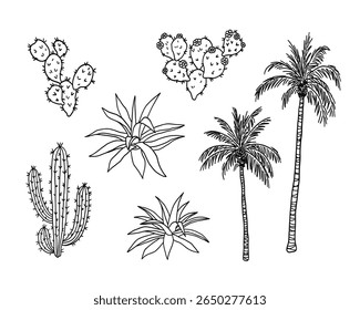 Set of desert plants. Palm tree with leaf and trunk, Agave or Aloe vera succulent, Prickly cactus with thorns and flowers. Summer tropical design element. Botanical hand drawn sketch illustration