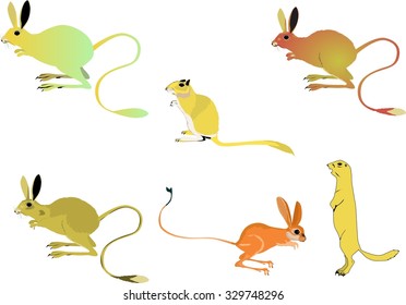 Set of desert rodents isolated on white