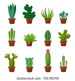 Set of desert or room green cactus. Flat and cartoon style. Vector illustration on white background. Element for your design