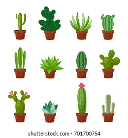 Set of desert or room green cactus. Flat and cartoon style. Vector illustration on white background. Element for your design