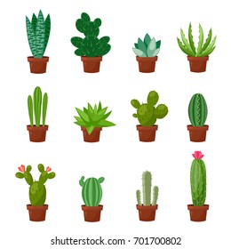 Set of desert or room green cactus. Flat and cartoon style. Vector illustration on white background. Element for your design