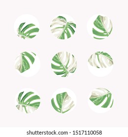 Set of design colorful templates icons and emblems - social media story highlight. Different blogger monstera leaves icons in trendy style isolated on white background.