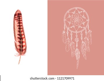 Set of design and decor elements. Detailed colored feather close up isolated on white background. Hand drawn ornate ethnic dream catcher on a pink background. Vector illustration