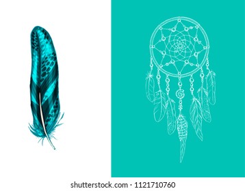 Set of design and decor elements. Detailed colored feather close up isolated on white background. Hand drawn ornate ethnic dream catcher on a pink background. Vector illustration