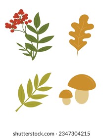 Set leaves,аutumn design element. Vector illustration