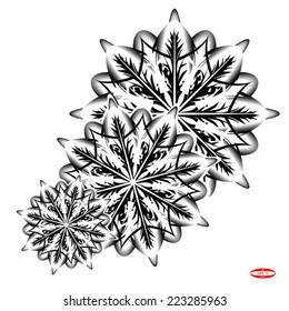 set of design elements abstract black white snowflake isolated on white background vector