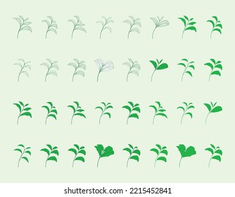 set design elements.
Collection of frame leaf and tree vector.